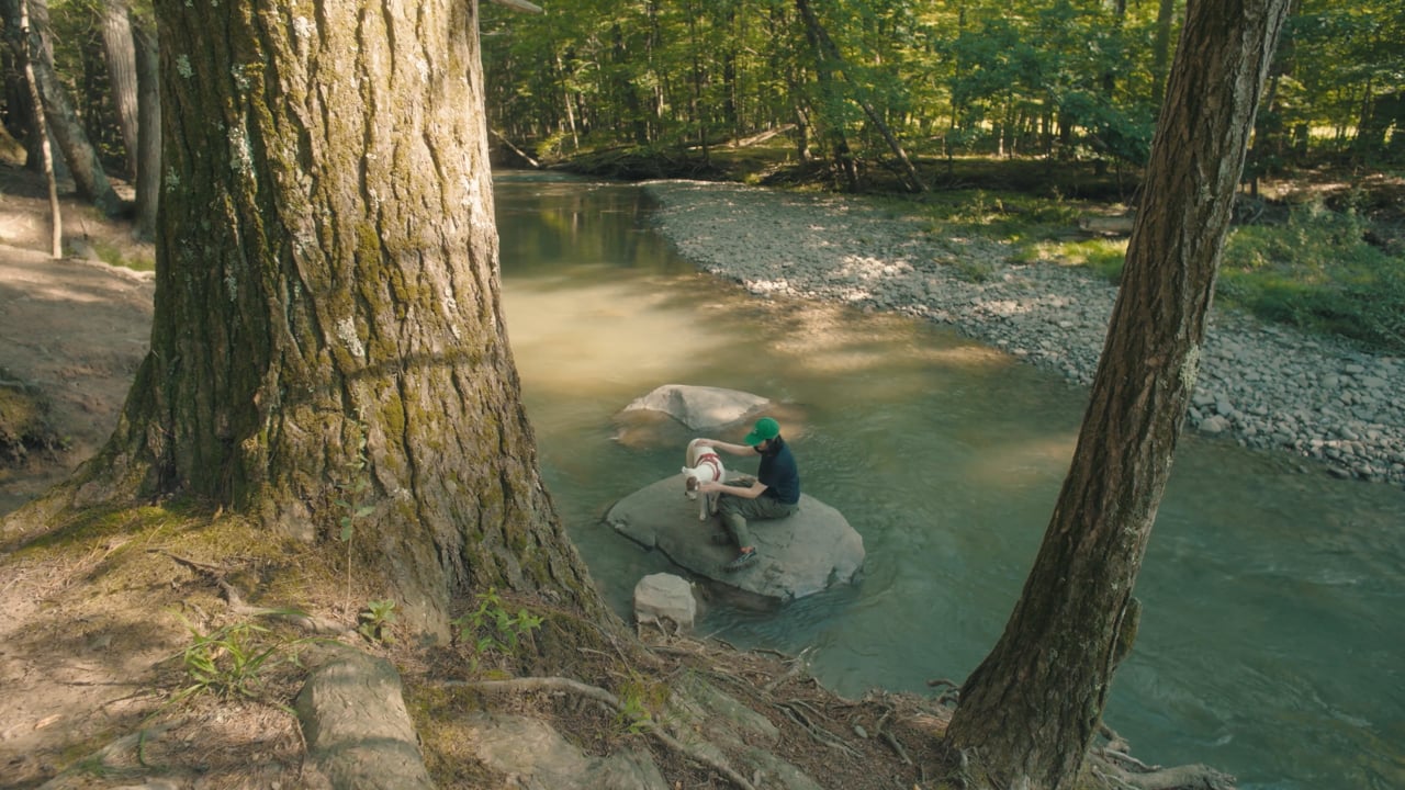 Film still from Transit of Venus